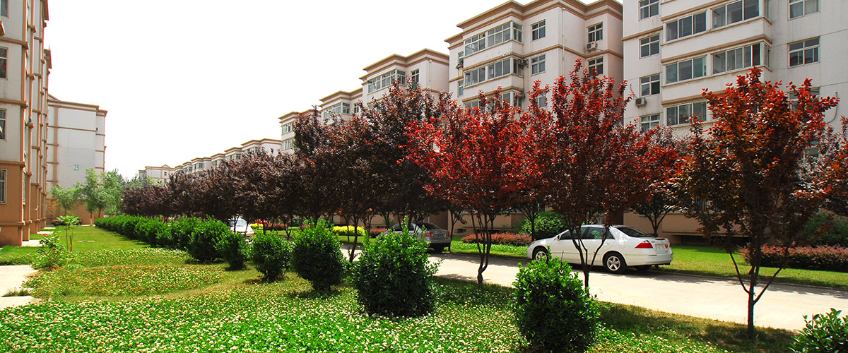 河北Z6人生就是博房地产开发集团有限公司