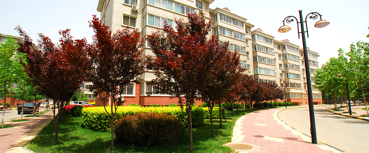 河北Z6人生就是博房地产开发集团有限公司