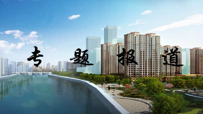 Z6�������ǲ�����ϵ������Լ�