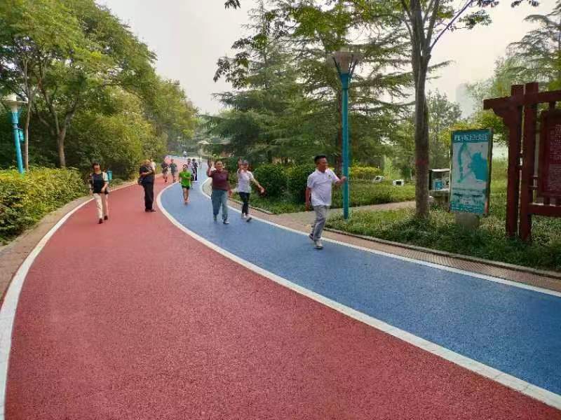 Z6���������ǲ�(�й���)�ٷ���վ